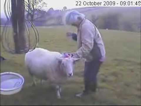 Breakfast With Lynda and Lottie