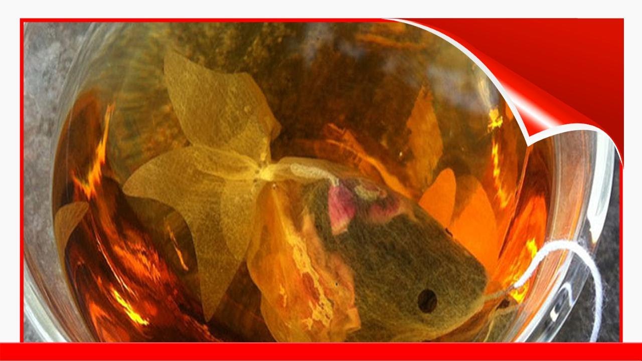 56 Of The Best Packaging Designs Ever 🔥