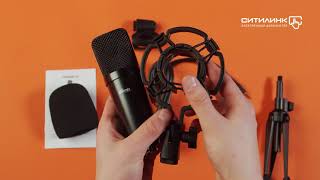 Микрофон Ritmix RDM-160, черный - купить в Ситилинк | 1141078