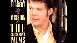 Steve Forbert-How Can You Change The World?