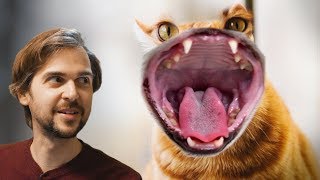 IS THIS ALIEN FRIENDLY? | Journey to the Savage Planet #AD