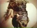 Sesame Street Film Of A Chicken Hatching