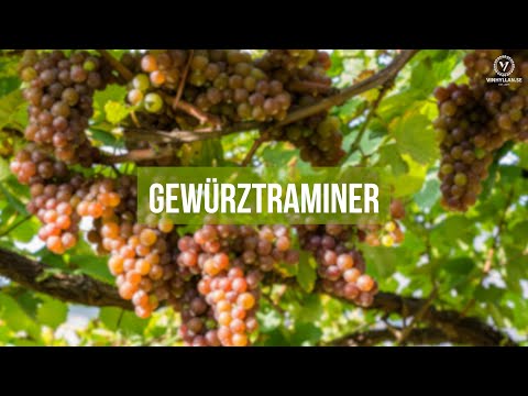 Gewürztraminer