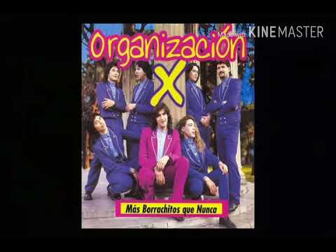 Organizacion X - megamiX