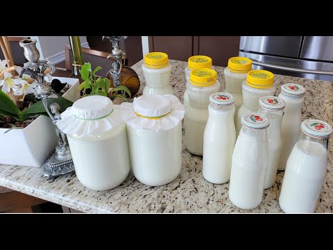 How to Make the Sweetest Homemade Milk Kefir even Sweeter!