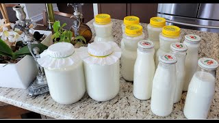 How to Make the Sweetest Homemade Milk Kefir even Sweeter!