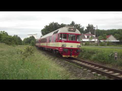 854 032 Jarča v Měšicích u Prahy