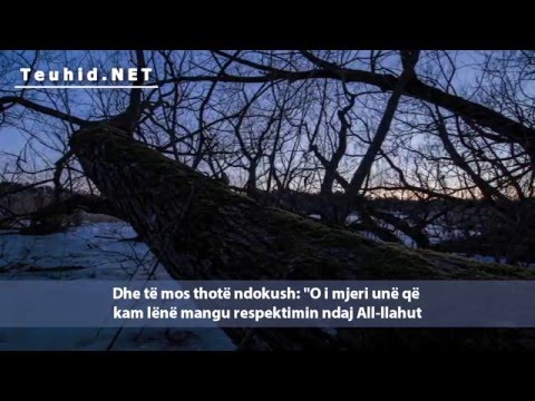 Recitim emocional i sures Zumer - Idris Ebker