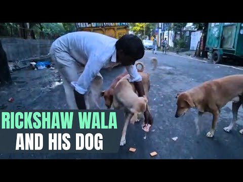 Amid SC Dog Order, A Rickshawala & Bhura Show Love Between Man & Stray Knows No Money