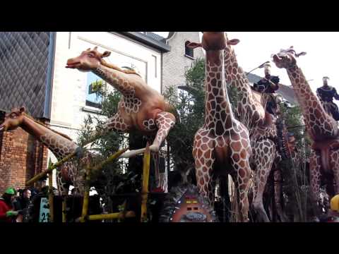 Aalst Carnaval 2012 - Tisj