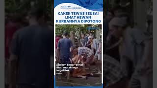 Viral Video Detik-detik Seorang Kakek Asal Rowotamtu Meninggal saat Lihat Hewan Kurbannya Dipotong