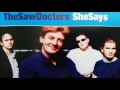 She Says  -The Saw Doctors