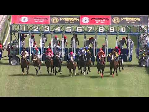 RM32 R5 | Moschino | B.Fayd'herbe