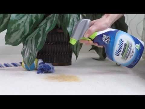 Woolite Advanced Pet Stain & Odor Remover + Sanitize 1152