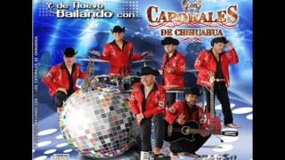 Los Caporales de Chihuahua - Una Copita de Ron 2012
