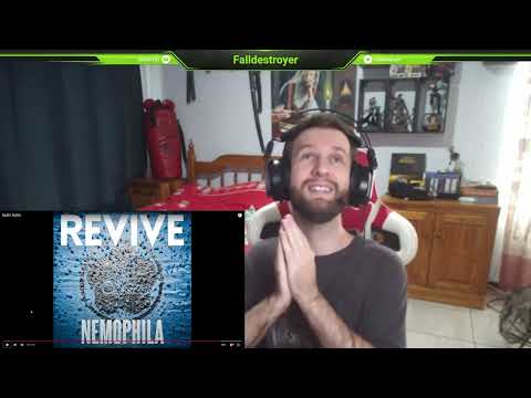 Nemophila / Rollin' Rollin' - Fallen Army Reaction / Rocking for days