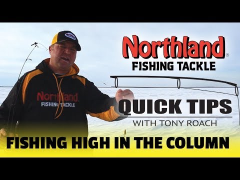 Quick Tips - Fishing High in the Column - Tony Roach