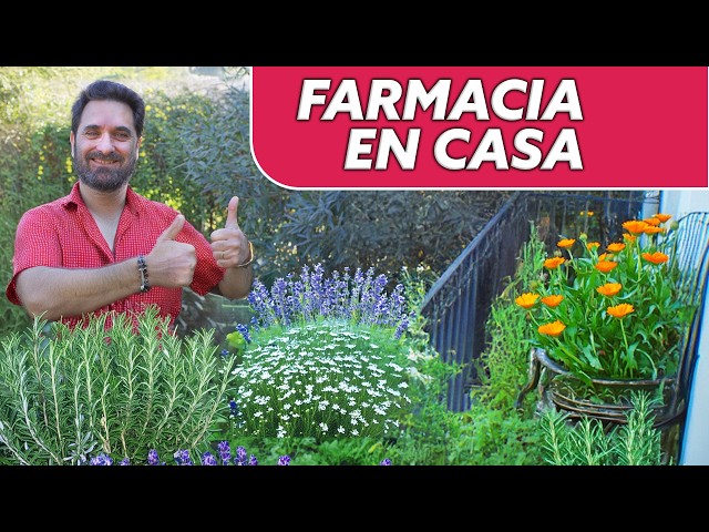 Vídeo relacionado con Mi jardín medicinal. Cuidados ancestrales para enfermedades modernas (JARDINERIA Y PLANTAS DE INTERIOR)