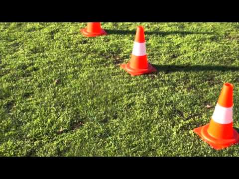 Worx Landroid Tutorial - Nowegian