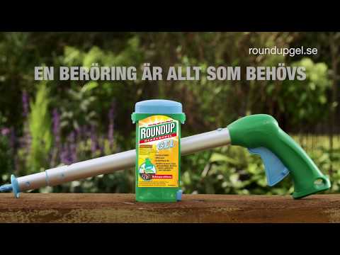 Roundup Gel bekämpar ogräs i gräsmattor med teleskopskaft