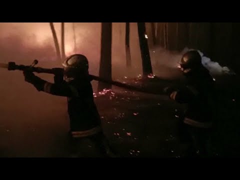 Skogsbränder och uttorkade floder – extremtorka i Europa | TV4 Nyheterna | TV4 & TV4 Play