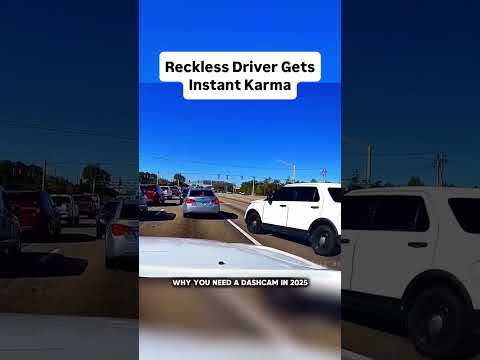 Reckless driver cuts off traffic, gets boxed in by police. Instant karma.