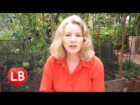 Growing Heirloom Tomatoes - Part 5 of 5 | Late Bloomer | Episode 16