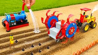 DIY Mini Tractor Rotavator & Water Pump 🍅 Growing Tomatoes | HP Mini