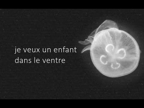 Grandiose - Pomme (paroles / traduction anglaise / english translation)