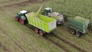 デントコーン収穫 fendt claas fendt939 claas jaguar 960 claas cargos750 dji mavic2zoom