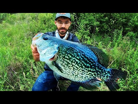 The BIGGEST CRAPPIE EVER CAUGHT on VIDEO?!