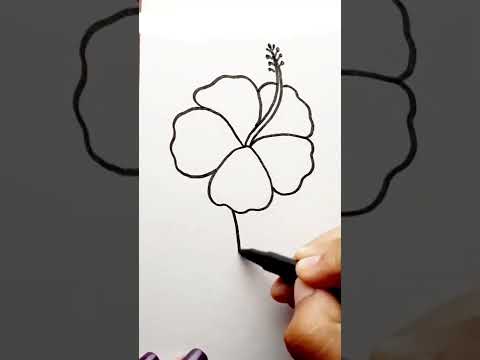 Hibiscus Flower Drawing.🌸🌸