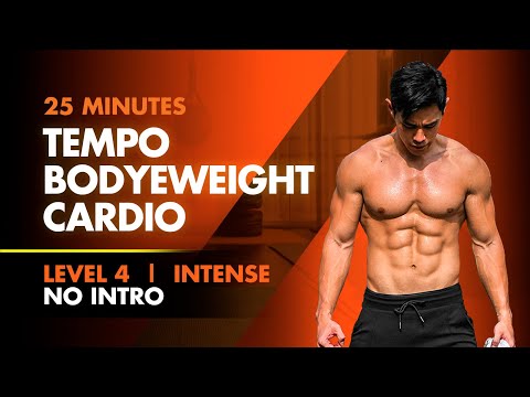 25 Minute No Intro Home Full Body Bodyweight Fartlek Intensity [Level 4]