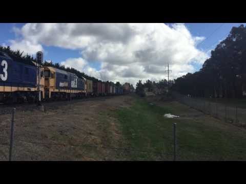 Triple 81s work 8138 through Orange on the Manildra Container serivce