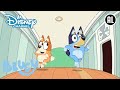 Bluey | ? Speeltijd Met Papa | Disney Channel NL