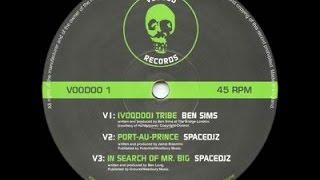 Space DJz - In Search Of Mr. Big