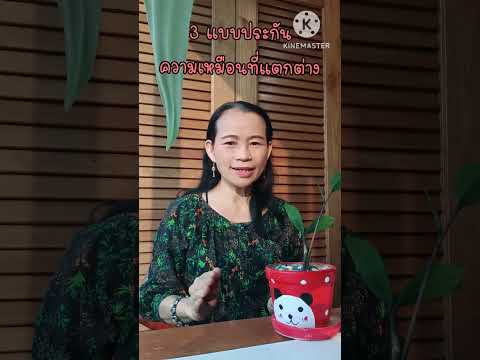 ประกันชีวิต ประกันมรดก ประกันฌาปนกิจ เหมือนหรือแตกต่างกันอย่างไร #ประกันสั่งได้bynuaythailife