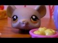 Nom Nom Nom/Hamster Dance Song - LPS Music ...