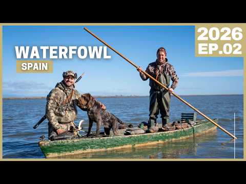 This Is What Duck Hunting in Spain Really Looks Like