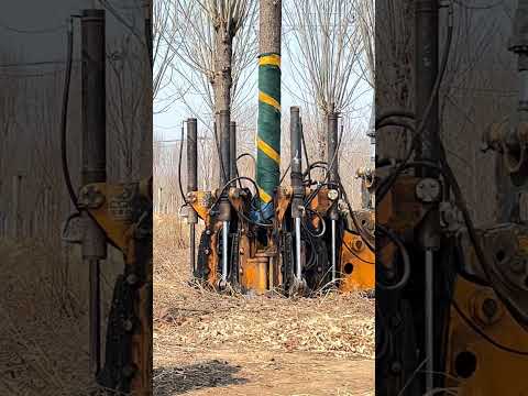 The magician has great strength.