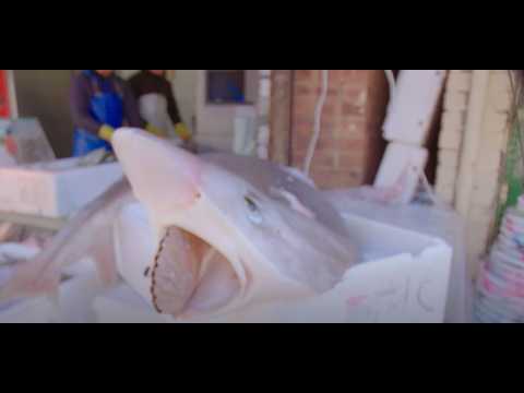 Sonnyjim & Kev Brown - Bubblegoose x Raf Simmons (Official Video)