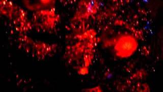 The Ventures - Snow Flakes LP 1965/68(?) (Greensleeves)