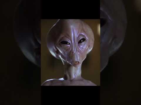 Should We Be Offended By This? | Stargate SG1