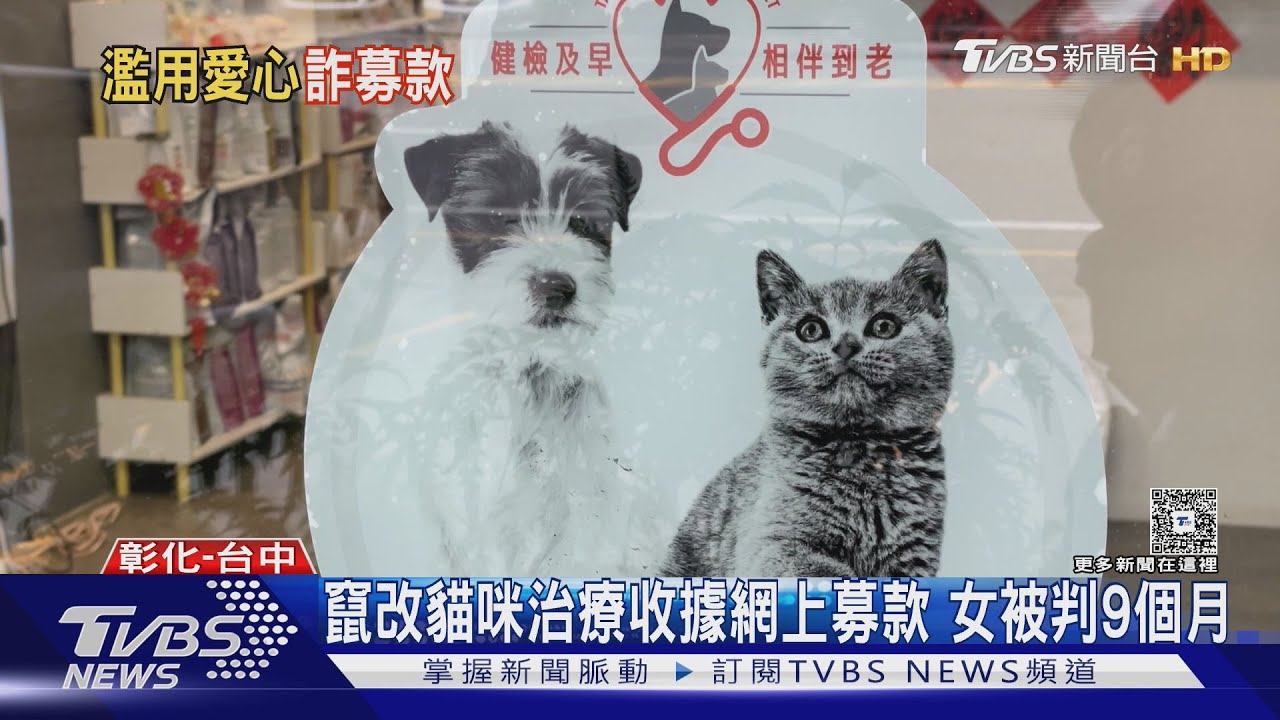 竄改貓咪治療費多10幾萬!女子網上募款被告詐欺判決出爐