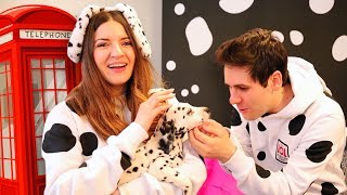 ANDIAMO A LONDRA! *Incontriamo i cuccioli di Dalmata*