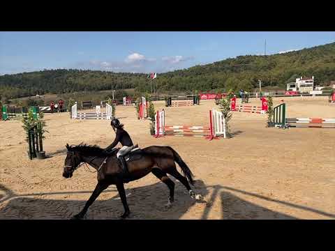 তুরস্কের বুরসাতে ঘোড়ার দৌড়ের প্রতিযোগিতা দেখা