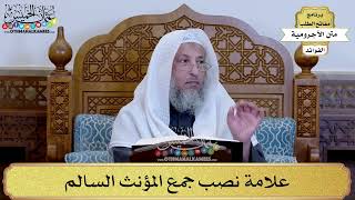 23 - علامة نصب جمع المؤنث السالم - عثمان الخميس