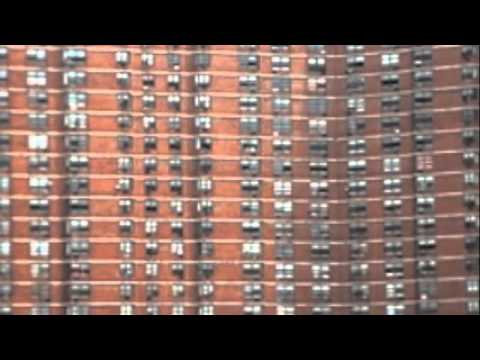 RIGZ "Streets Talk" feat Jree