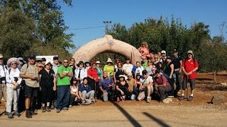 preview picture of video 'Our trip to Israel National trail route 1   25 10 2014   שביל ישראל מסלול 1'