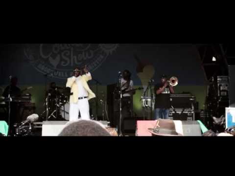 Robert Dallas @ Brockwell Park performing his song War and Crime 2016